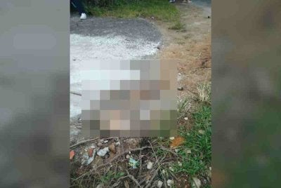 Polis menahan seorang wanita bagi membantu siasatan berhubung penemuan mayat seorang bayi tanpa kepala di dalam longkang di kawasan perumahan Padang Setengge dekat sini petang semalam.