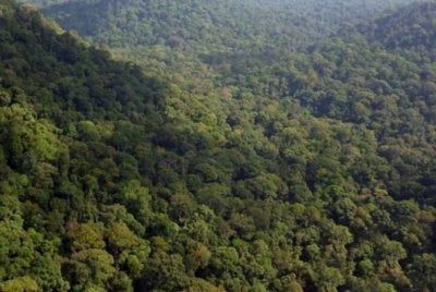 Semua laluan pendakian dan aktiviti rekreasi seperti meredah hutan, pacuan empat roda, kenderaan bermotor dan berbasikal dalam HSK Perak adalah tidak dibenarkan dan ditutup. Gambar hiasan 