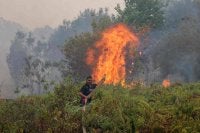 Anggota bomba cuba mengawal api daripada terus merebak di Desa Sungai Tabuk, Banjar di wilayah Kalimantan Selatan pada akhir minggu lalu. - Foto AFP