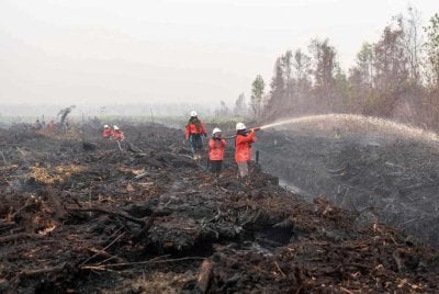 Indonesia hanya akan menerima bantuan luar bagi menangani kebakaran hutan dan tanah yang meluas sekiranya krisis berkenaan diisytiharkan sebagai bencana nasional.