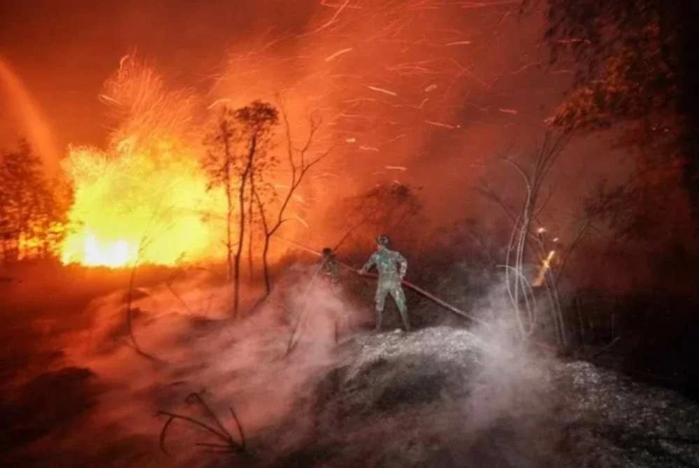 Guthrie menafikan laporan yang mendakwa anak-anak syarikat atau pekerjanya mencetuskan kebakaran hutan di Indonesia. Gambar hiasan/AFP