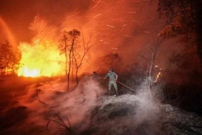 Guthrie menafikan laporan yang mendakwa anak-anak syarikat atau pekerjanya mencetuskan kebakaran hutan di Indonesia. Gambar hiasan/AFP