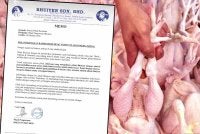 Bhuiyen Sdn Bhd menafikan dakwaan syarikat itu terbabit dalam aktiviti penyembelihan ayam secara tidak halal seperti ditularkan menerusi video di media sosial.