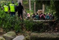 JIM menyerbu 19 lokasi sekitar Janda Baik dan menahan 65 warga asing atas pelbagai kesalahan imigresen dalam Operasi Mega Bersepadu, pagi tadi. - Foto: Bernama