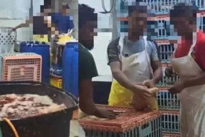 Tular tangkap layar rakaman video penstriman langsung di TikTok berhubung dakwaan seorang pembekal ayam di Kuala Lumpur tidak menyembelih ayam tersebut, sebaliknya mencampakkannya ke dalam air panas hidup-hidup.