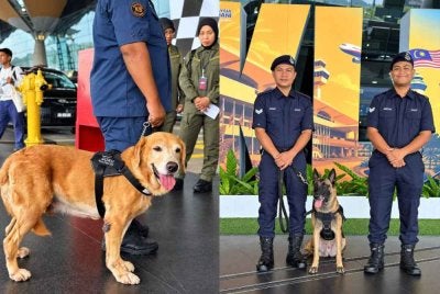 Penugasan unit K9 di KLIA akan bermula Isnin ini- Foto: FB KL International Airport
