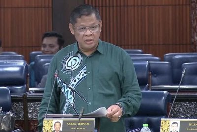 Ahli Parlimen Sabak Bernam, Kalam Salan 
