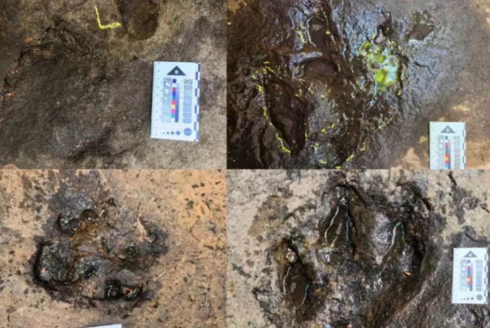 Penemuan enam kesan tapak kaki dinosaur disahkan ahli paleontologi. Foto Agensi