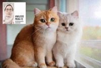 Kasih sayang terhadap haiwan bukan sekadar memberi makan dan menyediakan tempat berteduh yang selesa. - Gambar hiasan