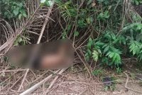Mangsa ditemui dalam keadaan terbaring di tepi semak dalam kebun sawit Kampung Tebing Tinggi, Felda Triang 3 di sini.