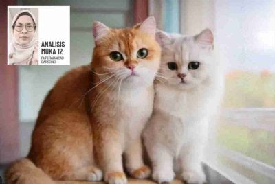 Kasih sayang terhadap haiwan bukan sekadar memberi makan dan menyediakan tempat berteduh yang selesa. - Gambar hiasan