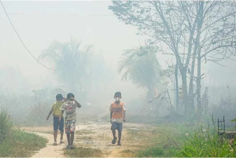Kebakaran hutan: Indonesia rekod lebih 333,000 kes jangkitan saluran pernafasan akut Kebakaran hutan: Indonesia rekod lebih 333,000 kes jangkitan saluran pernafasan akut