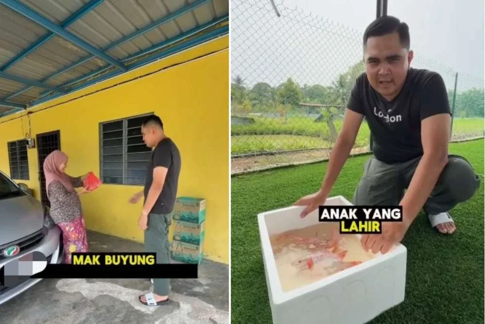 Seorang wanita hamil menjadi indvidu pertama menerima infak ikan tilapia hasil ternakan Muhamad Akmal.