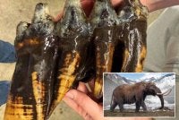 Objek ini ditemukan oleh Brigid Lynch, seorang ahli geomorfologi dari firma perunding hidrologi Balance Hydrologics. - Agensi