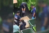 Tangkap layar video tular memaparkan mayat bayi ditemui di kawasan pembuangan sampah di sebuah apartmen di Abdullah Hukum Bangsar di sini pada Jumaat.