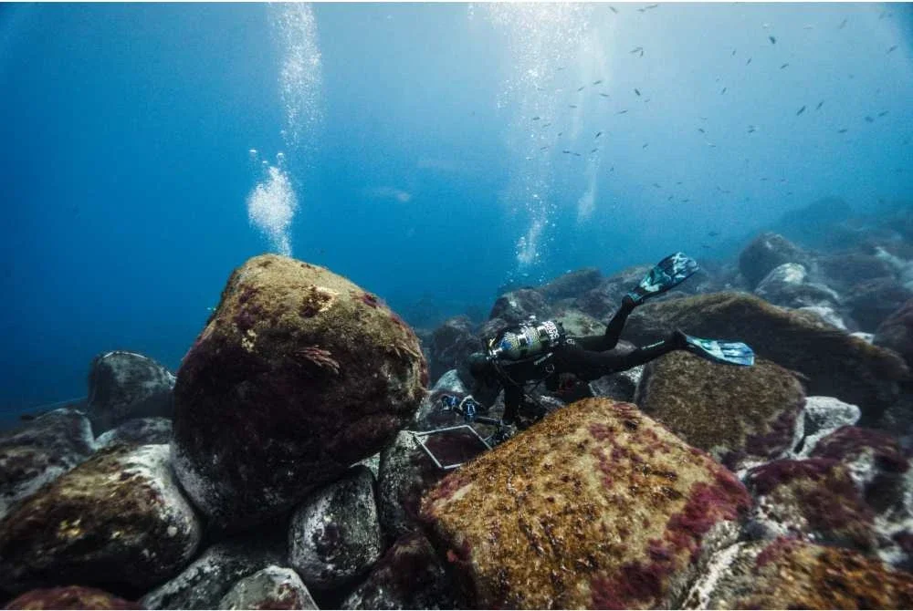 Penyelam menggunakan bingkai pensampelan untuk menilai hidupan marin di dasar laut berbatu Madeira. Foto AFP