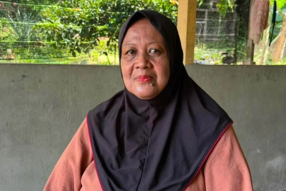 Zaini