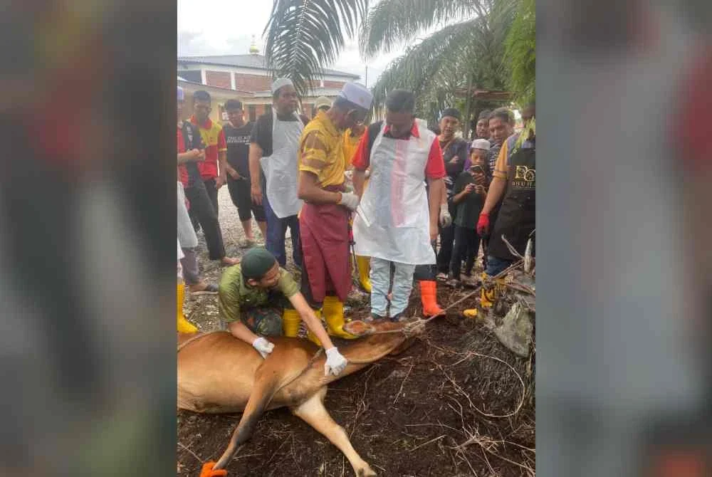 Halim (tengah) berkongsi ilmu dan teknik penyembelihan kepada peserta Kursus Penyembelihan Korban dan Kaedah Potongan Daging anjuran JUAAK.