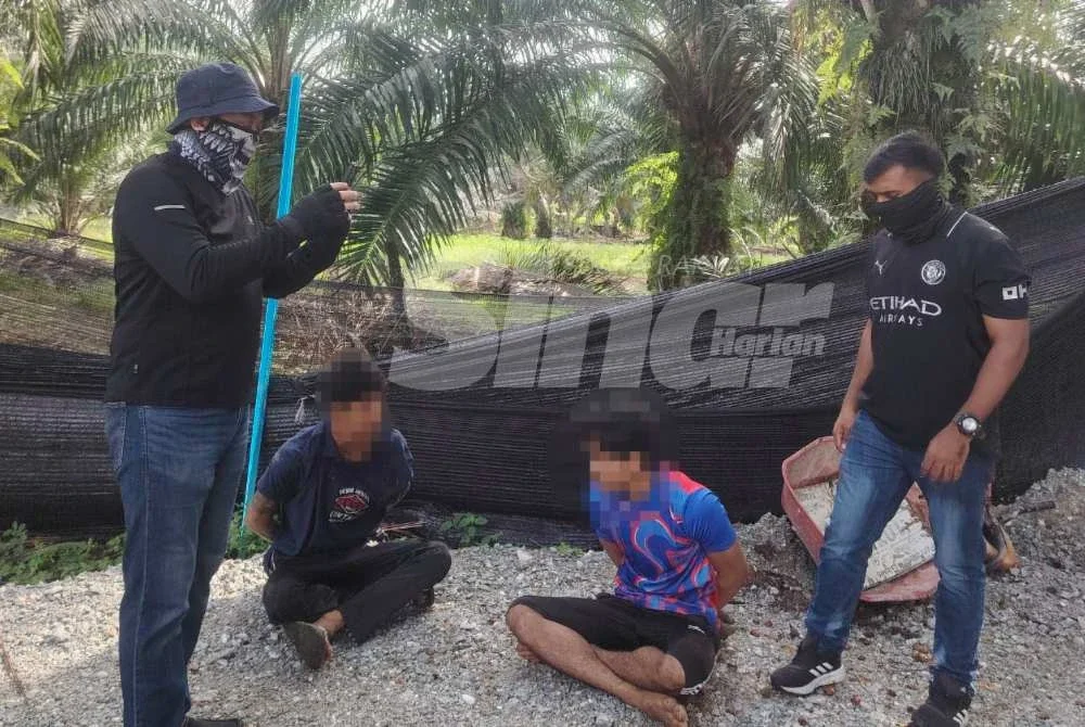 Dua pekerja warga asing ditahan KPDN Selangor pada Selasa.