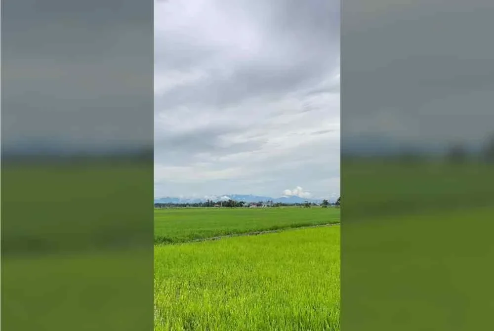 Tular gambar pemandangan Genting Highlands, Pahang yang boleh dilihat dari Sekinchan dan Tanjong Karang, Selangor.