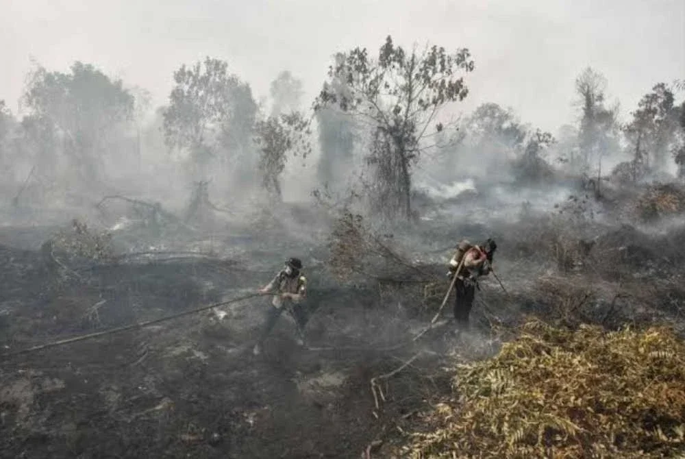 Indonesia meneruskan usaha memadam kebakaran tanah gambut walaupun hujan membawa kelegaan. Foto fail/AFP