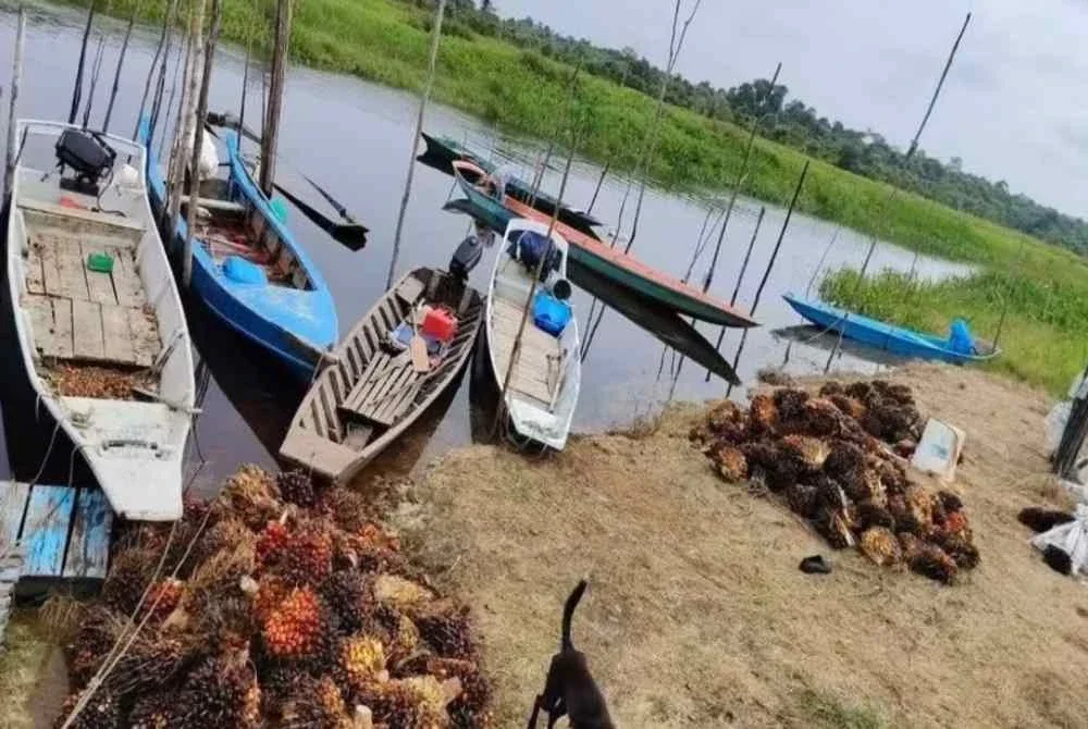 Operasi mencari dan menyelamat (SAR) yang melibatkan dua anggota Balai Bomba dan Penyelamat (BBP) Simunjan serta sebuah kenderaan Toyota Hilux ditamatkan pada jam 4 pagi hari ini.
