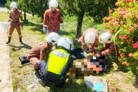 Seorang lelaki maut dipercayai terkena renjatan elektrik ketika melakukan kerja pemasangan dan pembaikan lampu di hadapan pintu gerbang sebuah sekolah di Kudat.
