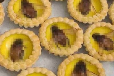 Sebuah restoran di Shunde, Guangdong, China menyajikan pencuci mulut baharu iaitu tat telur dihiasi kumbang air rangup yang kelihatan seakan-akan lipas gergasi.