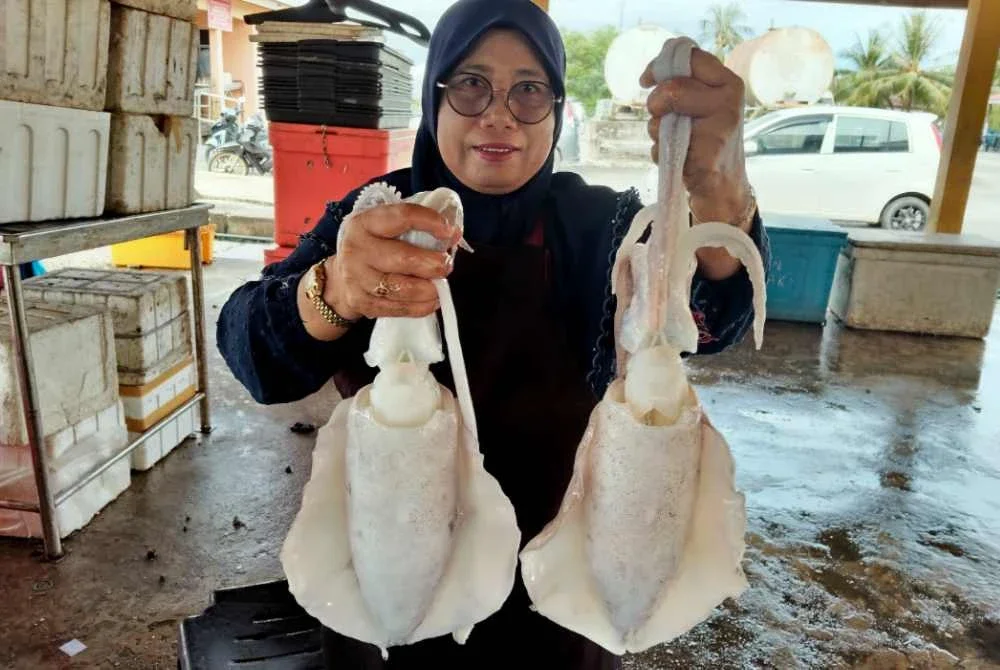 Peniaga Kalsom Mohd Isa, 48, menunjukkan sotong bubu yang dijual di Jeti Lembaga Kemajuan Ikan Malaysia (LKIM) Kuala Sala, Alor Setar. - Bernama