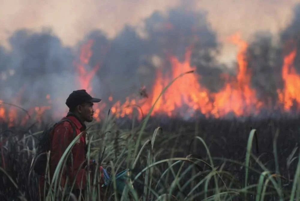 Dakwaan yang mengaitkan JCorp dengan pemilikan atau pengendalian operasi semasa syarikat berkenaan serta kejadian kebakaran tersebut adalah palsu dan mengelirukan. Gambar hiasan