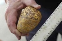 Ia seberat hampir 1.2 kilogram dan mengandungi kira-kira 940 gram emas tulen. Foto Agensi
