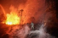 Polis Indonesia sedang menyiasat 97 syarikat, termasuk 22 syarikat yang mempunyai kaitan dengan pihak asing, berhubung kes kebakaran hutan dan tanah di seluruh negara itu.