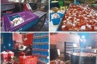 Pemeriksaan awal mendapati premis berkenaan dipercayai dijadikan lokasi penyembelihan, pemprosesan dan pengedaran ayam segar tanpa sijil halal yang sah.